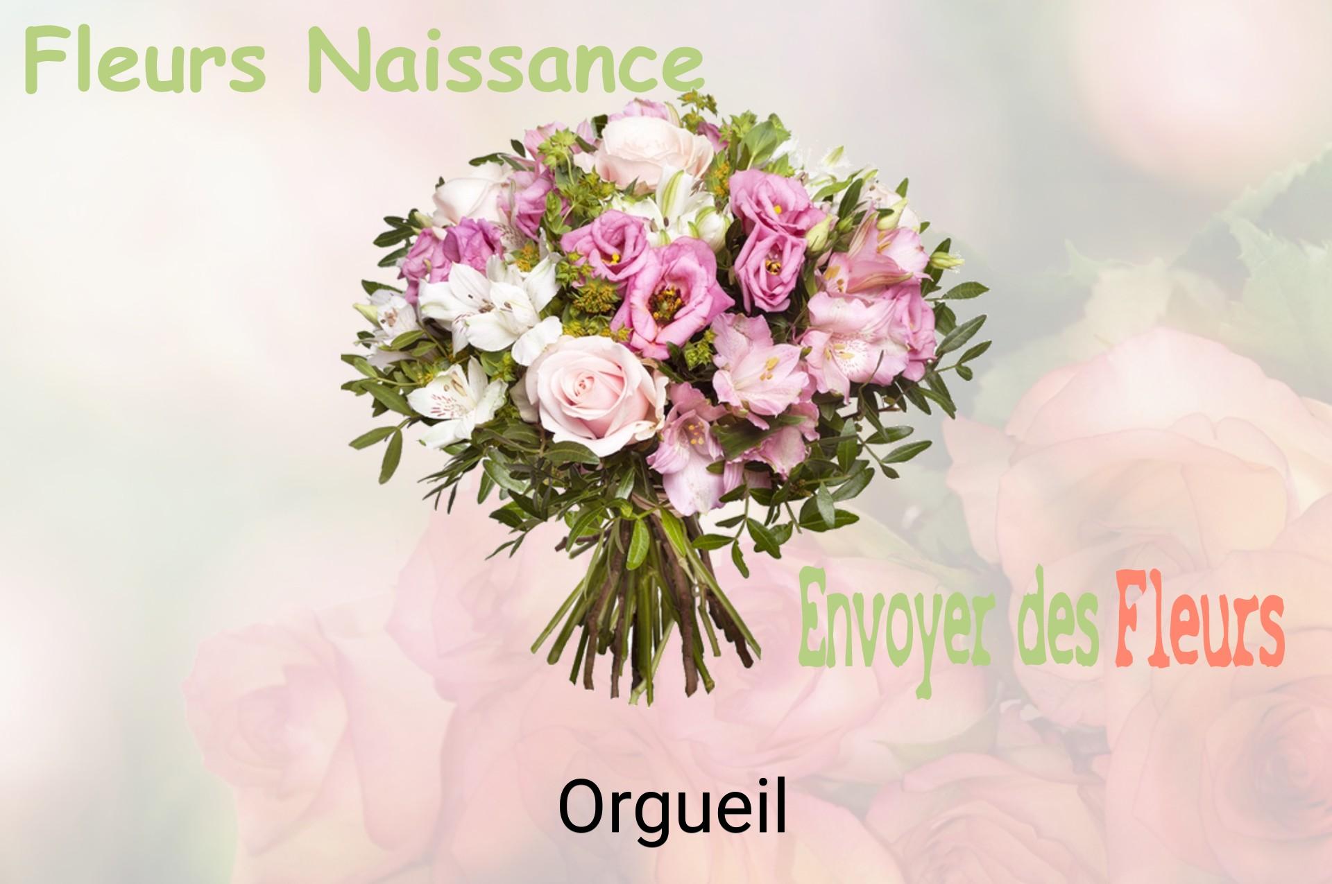 Bouquet de fleurs de naissance livré à Orgueil